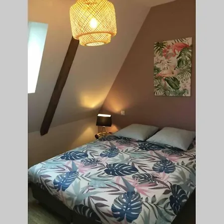 Appartement Dans Maison De 1789 Au Centre De Vitre Buitenkant foto