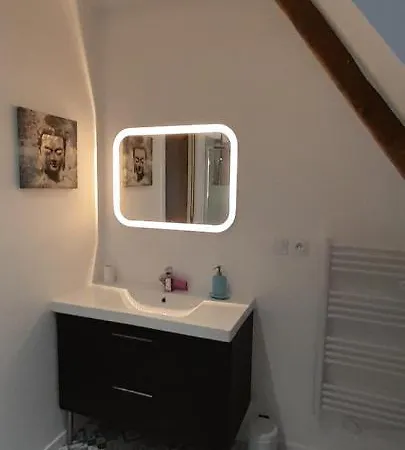 Appartement Dans Maison De 1789 Au Centre De Vitre Buitenkant foto