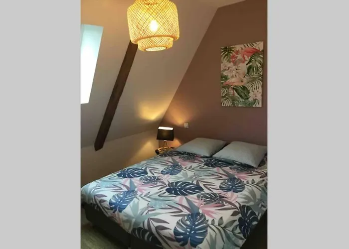 Appartement Dans Maison De 1789 Au Centre De Vitre